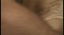 Captura de 'NAFTA Honeys' nº 73