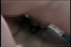 'Wanted - Doggie Style' screenshot nº 48