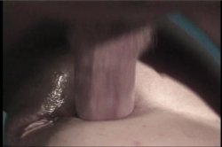 'Wanted - Doggie Style' screenshot nº 86