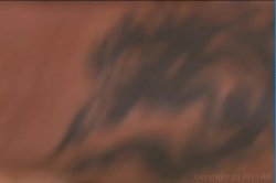 Captura de 'Ass Factor 2' nº 48