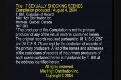 Captura de '7 Sexually Shocking Scenes' nº 1