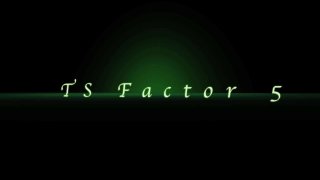 TS Factor 5 - Scène1 - 1