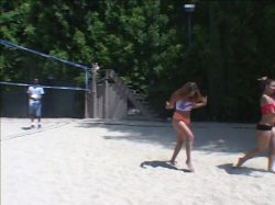 'Biggest Blackest Orgies 2' screenshot nº 9