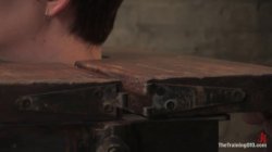 'The Training Of O Featuring Cherry Torn, Maestro And India Summer' screenshot nº 5