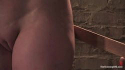 'The Training Of O Featuring Cherry Torn, Maestro And India Summer' screenshot nº 30