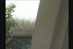 'Voyeur #12, The' screenshot nº 96