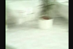 'Voyeur #12, The' screenshot nº 121