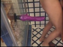 'How to Reach the Ultimate Climax' screenshot nº 139