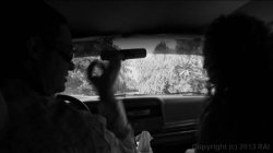 Captura de 'Otto and Audrey On The Prowl' nº 3