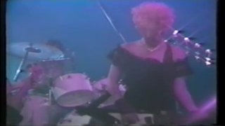 Pussy Willows - Cena1 - 1
