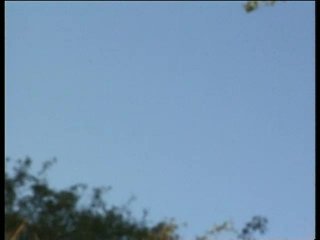 Super Feeling - Scena2 - 1