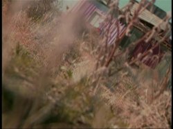 'Lost Angels' screenshot nº 2
