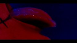 'Fuck Myself' screenshot nº 75