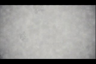 Live New Girls - Scene3 - 6