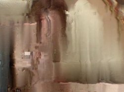 'Wank My Wood Vol. 2' screenshot nº 42