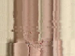 'Wank My Wood Vol. 2' screenshot nº 49