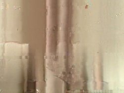 'Wank My Wood Vol. 2' screenshot nº 50