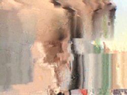 'Wank My Wood Vol. 2' screenshot nº 84