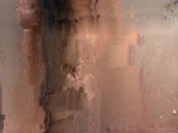 'Wank My Wood Vol. 2' screenshot nº 92