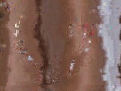 'Wank My Wood Vol. 2' screenshot nº 96