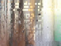 'Wank My Wood Vol. 2' screenshot nº 97