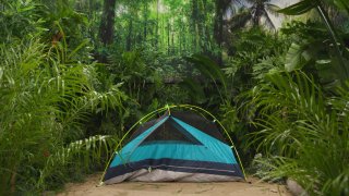 Trans Campers - Szene2 - 1