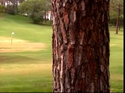 'Private Stories 2' screenshot nº 5