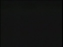 'Exotica Erotika 6' screenshot nº 36