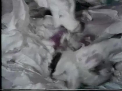 Scene 7