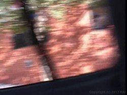 'Bangin' Beaver on the Bus 3' screenshot nº 47