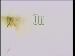 Captura de 'Between My Breasts Volume 5' nº 2