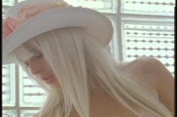 Captura de 'Super Blondes of Vivid' nº 16