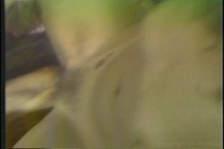 Captura de 'Super Blondes of Vivid' nº 40