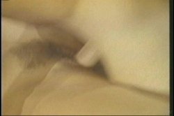 Captura de 'Super Blondes of Vivid' nº 64