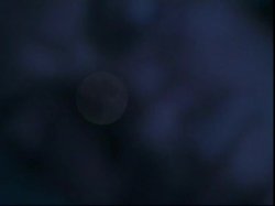 'Sensual Image' screenshot nº 120