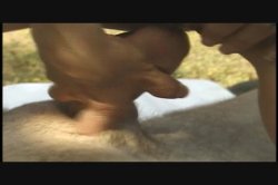 'Married Women Fantasies 2' screenshot nº 109