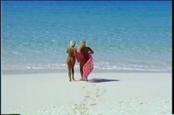 'Tit To Tit Collection Vol. 2' screenshot nº 8