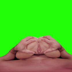 Captura de 'Anal Lovers: Cute Teen Squirts While She Gets Anal Creampie (Passthrough)' nº 96