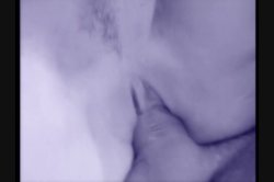 Captura de 'Best I Want to Fuck You...in the Bathroom, The' nº 74