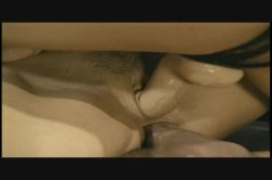 'Pulled Pork Sandwich' screenshot nº 115