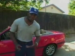 Mr. Marcus&#39; Neighborhood #7 - Cena1 - 5