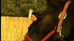 'Euro Angels 20 - Anal Retentive' screenshot nº 82