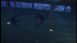'Euro Angels 20 - Anal Retentive' screenshot nº 109