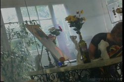 'Skintight (Adam & Eve)' screenshot nº 93