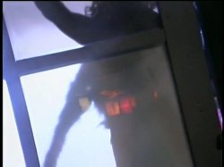 Captura de 'Where the Boys Aren't 16' nº 86