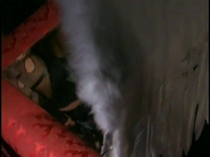 Sunrise Adams and Jenna Jameson