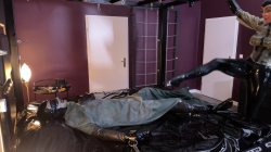'Ava Fetish Art and Perv in Lots of Latex Part 1' screenshot nº 43