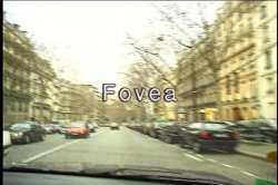 Captura de 'Euro Angels 6' nº 1