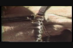 'Twice a Virgin' screenshot nº 83