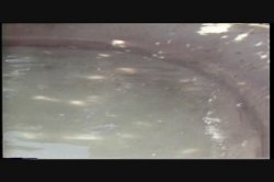 'Twice a Virgin' screenshot nº 86